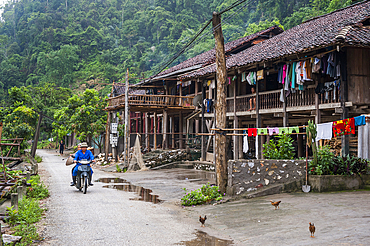 Village on the lakeshore, Ba Be Lake, Bac Kan province, Northern Vietnam, Southeast Asia