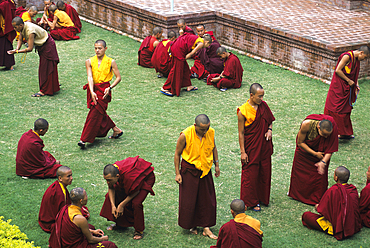 Monks,Shechen monastery,Buddhist philosophy university,Bodnath,Katmandu,Nepal,Himalaya,South Asia