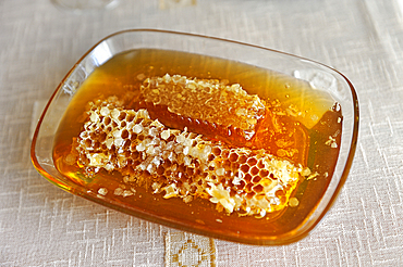 Honey tasting at Raznik Mouradyan's house, beekeeper at Vedi, a village in Ararat plain, Artashat, Armenia, Eurasia