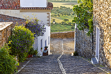 Cobbled street in the perched village Monsaraz, Municipality of Reguengos de Monsaraz, Alentejo region, Portugal, southwertern Europe