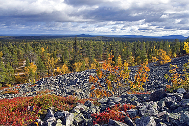 View from Lampivaara Hills,Pyha-Luosto National Park,Lapland,Finland, Northern Europe