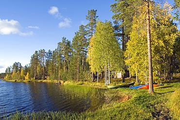Sodankyla region,Lapland,Finland, Northern Europe