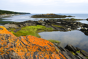 Warden cove, Ile aux Lievres, Saint-Laurent river, Quebec province, Canada, North America