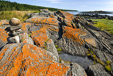 Warden cove, Ile aux Lievres, Saint-Laurent river, Quebec province, Canada, North America