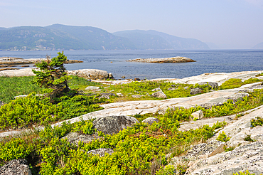 Saguenay River shore around Tadoussac, Cote-Nord region, Province of Quebec, Canada, North America