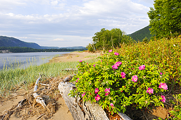 Saguenay National Park, Baie Sainte-Marguerite, Province of Quebec, Canada, North America