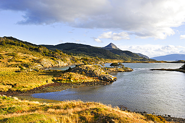 Wulaia Bay, Navarino island, Tierra del Fuego, Patagonia, Chile, South America