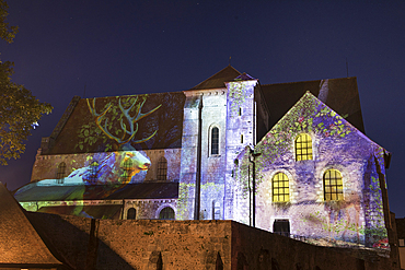 Lights on the Saint-Andre Collegiate Church, artistic design by Fauna and Flora, From Herbariums to Bestiaries, M2 Creative, City of Chartres, Eure-et-Loir department, Centre-Val-de-Loire region, France, Europe