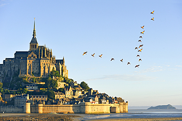 Mont-Saint-Michel bay and Abbey, UNESCO World Heritage Site, Manche department, Normandy region, France, Europe