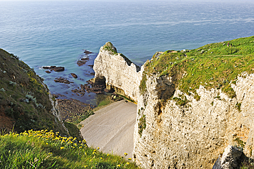 Cliffs of Etretat, Seine Maritime department, Normandy region, France, Europe