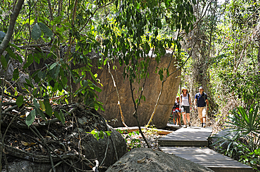 Walking in Tayrona National Natural Park, Department of Magdalena, Caribbean Region, Colombia, South America