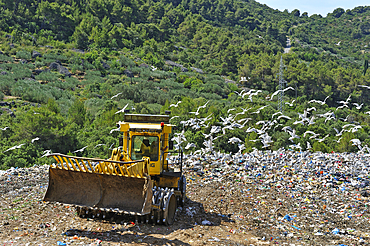 Garbage dump, Hvar island, Croatia, Southeast Europe