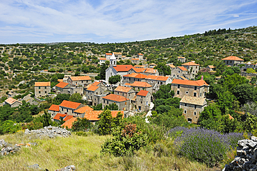 Village of Velo Grablje, Hvar island, Croatia, Southeast Europe