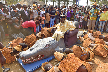 Paramount Chief Chitimukulu arriving to start the Ukusefya Pa Ng'wena Ceremony riding on his crocodile chair, Kasama, Zambia, Africa