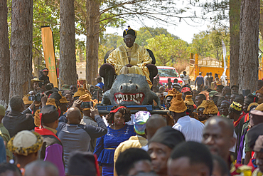 Paramount Chief Chitimukulu arriving to start the Ukusefya Pa Ng'wena Ceremony riding on his crocodile chair, Kasama, Zambia, Africa