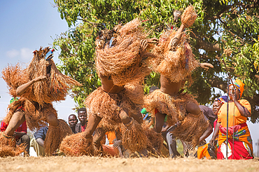 Masked dancers, The Kulamba Traditional Ceremony of the Chewa people from Zambia, Mozambique and Malawi, held annually on the last Saturday in August to pay homage to their Chief Kalonga Gaia Uni, held near Katete, Eastern Province, Zambia, Africa