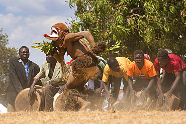 Masked dancer and drummers, The Kulamba Traditional Ceremony of the Chewa people from Zambia, Mozambique and Malawi, held annually on the last Saturday in August to pay homage to their Chief Kalonga Gaia Uni, held near Katete, Eastern Province, Zambia, Africa