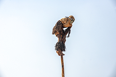 Blindfolded acrobat, The Kulamba Traditional Ceremony of the Chewa people from Zambia, Mozambique and Malawi, held annually on the last Saturday in August to pay homage to their Chief Kalonga Gaia Uni, held near Katete, Eastern Province, Zambia, Africa