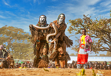 Masked dancers with snake, The Kulamba Traditional Ceremony of the Chewa people from Zambia, Mozambique and Malawi, held annually on the last Saturday in August to pay homage to their Chief Kalonga Gaia Uni, held near Katete, Eastern Province, Zambia, Africa