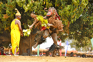 Masked dancer, The Kulamba Traditional Ceremony of the Chewa people from Zambia, Mozambique and Malawi, held annually on the last Saturday in August to pay homage to their Chief Kalonga Gaia Uni, held near Katete, Eastern Province, Zambia, Africa