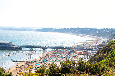 Sunny beach day with crowded sandy shore and pier, clear blue water, and lush greenery in the foreground in Bournemouth, Dorset, England, United Kingdom, Europe