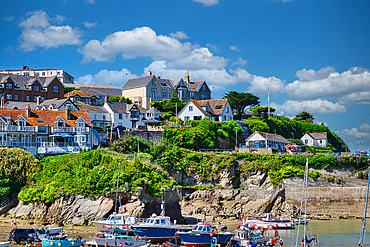 A picturesque coastal scene featuring a cluster of houses on a hillside overlooking a harbor filled with boats. The sky is bright with fluffy clouds, and the shoreline has rocky outcrops. The vibrant greenery adds to the charm of the landscape.