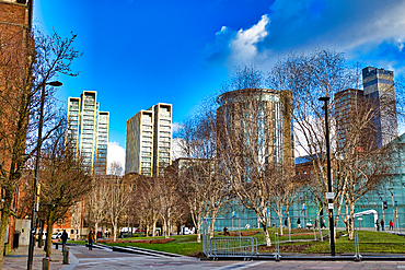 Modern high-rise buildings and a park with bare winter trees are featured in this cityscape. A paved walkway leads toward the buildings under a vibrant blue sky with some clouds in Manchester, UK.