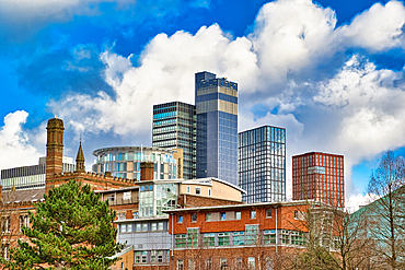 A cityscape featuring a mix of modern skyscrapers and older brick buildings under a partly cloudy blue sky. A large pine tree is in the foreground in Manchester, UK.