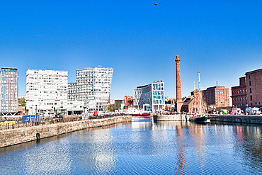 Waterfront view featuring modern and historic architecture under a clear blue sky with a bird in flight in Liverpool, UK.