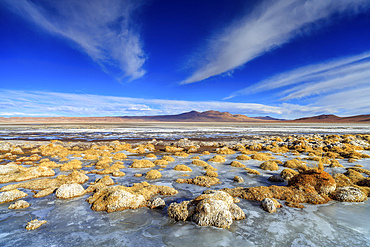 Panoramic view of the Salar de Tara in Chile.