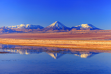 Licancabur stratovolcano reflected in Laguna Tebinquinche, Chile.