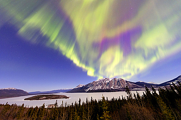 Aurora Borealis, Fish Lake, Whitehorse, Yukon, Canada.