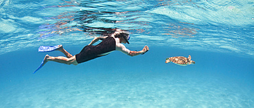 Snorkeler photographing Green Turtle in Caribbean Sea near Cancun Mexico.