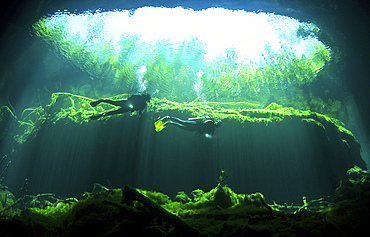 Two scuba divers in the Garden of Eden cavern part of the cenote system on the Yucatan Peninsula of Mexico.