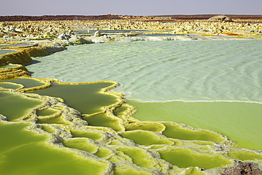 January 27, 2011 - Dallol geothermal area, terraces, potassium salt deposits formed by brine hot springs, Danakil Depression, Ethiopia.