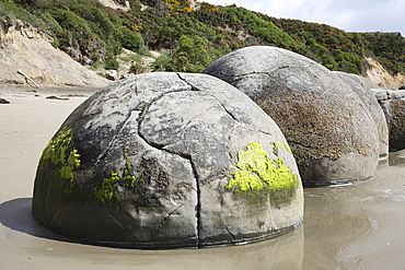 November 13, 2007 - Moeraki Boulders, round septarian concretions created by cementation of Paleocene mudstone of the Moeraki formation, Koekohe Beach, New Zealand.