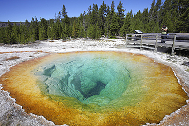 September 12, 2009 - Morning Glory Pool Hot Spring, Upper Geyser Basin geothermal area, Yellowstone Caldera, Yellowstone National Park, Wyoming.