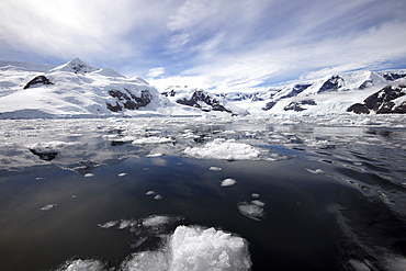 Neko Harbor, Antarctic Peninsula.