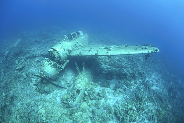 A Japanese Jake seaplane, shot down during World War II, lies on the seafloor of Palau's lagoon. Many planes and dozens of large ships were sunk around Palau during the war.