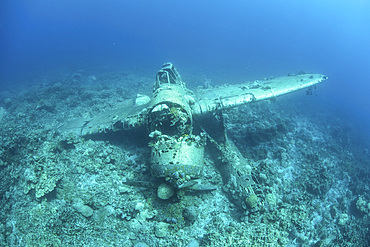 A Japanese Jake seaplane, shot down during World War II, lies on the seafloor of Palau's lagoon. Many planes and dozens of large ships were sunk around Palau during the war.