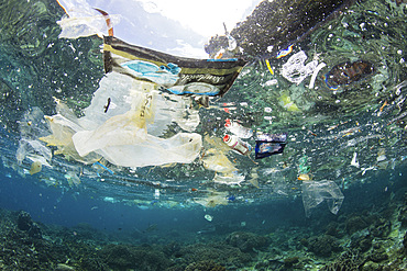 Discarded plastic bags and other trash float above a shallow coral reef in Raja Ampat, Indonesia. Plastics have become a major pollution problem worldwide.