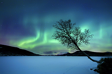 Aurora Borealis over Sandvannet Lake in Troms County, Norway. Auroras are the result of the emissions of photons in the Earth's upper atmosphere.