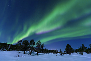 Aurora Borealis, Forramarka, Troms, Norway.