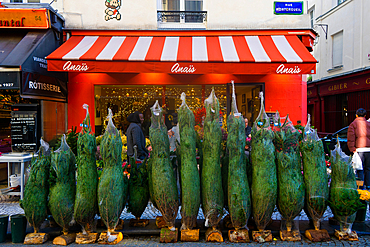 Christmas trees for sale at flower shop on Rue Montorgueil, Paris, France