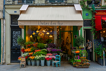 Flower shop L'Histoire d'un Fleur on Rue Saint-Denis, Paris, France