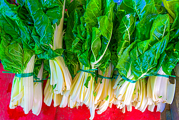 Chard
