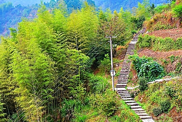 Steps on the hillside of picturesque Shanxiabao village, Wuyi County, Jinhua City, Zhejiang Province, China. Under cultural protection, the 800 year old ancient village was featured in Chinese National Geography and still has buildings from 1723-1735.