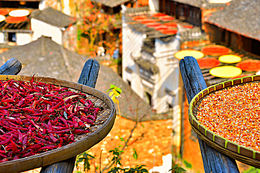 Chillies, corn and other produce being sun dried in autumn, Huangling, Wuyuan County, Shangrao City, Jiangxi Province, China. Huangling is an ancient village that dates back to the Ming Dynasty more than 500 years ago and is known for its natural beauty.