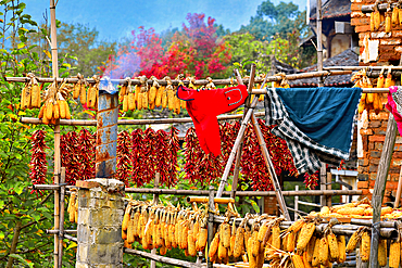 Corn, chillies and laundry being sun dried in autumn in Huangling, Wuyuan County, Shangrao City, Jiangxi Province, China. Huangling is an ancient village that dates back to the Ming Dynasty more than 500 years ago and is known for its natural beauty.