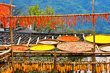 Pumpkin strips and other produce being sun dried in autumn, Huangling, Wuyuan County, Shangrao City, Jiangxi Province, China. Huangling is an ancient village that dates back to the Ming Dynasty more than 500 years ago and is known for its natural beauty.